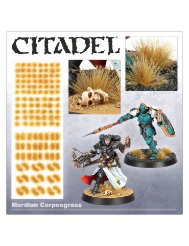 Citadel Mordian Corpsegrass